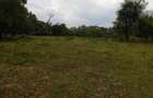 9 ac Land in Karen - 5