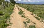 0.5 ac Land in Nanyuki - 7
