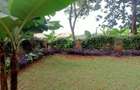 6 Bed House with En Suite in Muthaiga - 6