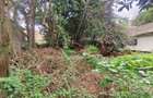 0.42 ac Land at Vihiga - 4