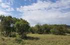 5 ac Land at Sangare Conservancy - 2