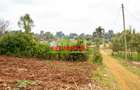 0.1 ha Residential Land in Kikuyu Town - 3