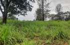 0.5 ac Land at Ruaka Town - 4