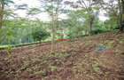0.809371 ha Residential Land at Matasia - 9