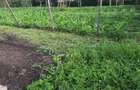 500 m² Residential Land in Ongata Rongai - 2