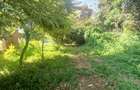 1.347 ac Land in Riara Road - 9