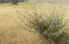 Land in Athi River - 6