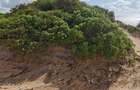 0.125 ac Land in Malindi - 9