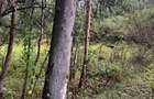10 ac Commercial Land at Langata South Road - 5