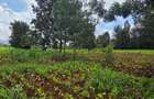 Commercial Property with Service Charge Included at Mutuini Primary - 3