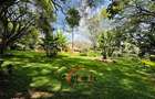 4 Bed House with En Suite at Runda - 1