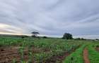 5 ac Land at Vipingo - 14