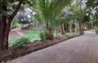 4 Bed House with En Suite in Rosslyn - 13