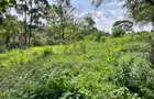 Residential Land at Westlands - 4