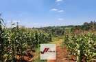 25 ac Land in Kitisuru - 7