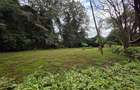 Land in Ngong Road - 1