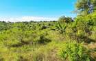 Land at Kwale - 9