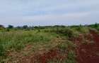 Residential Land at Kirawa Road - 1