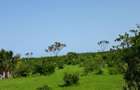 202,350 m² Land in Vipingo - 3