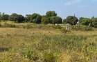 Land in Mtwapa - 10