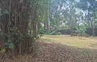 Land at Off Ridgeways/Kiambu Rd - 6