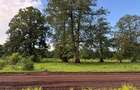 Residential Land in Vipingo - 4