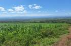 0.25 ac Residential Land at Nakuru - 4