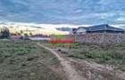 0.05 ha Residential Land in Nanyuki - 9