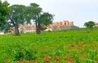 5 ac Land at Utalii -Campus - Vipingo - 9