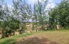 10 ac Land at Mtwapa Creekside - 4