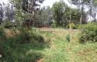 0.5 ac Residential Land in Kiambu Road - 2