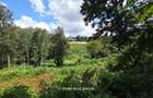 2.3 ac Land in Kitisuru - 6