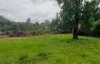 Land in Lavington - 10