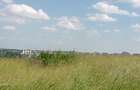 Residential Land in Runda - 5