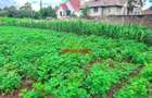 0.1 ha Residential Land at Muguga - 6