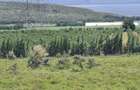Land in Naivasha - 3