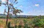 0.1 ac Residential Land at Kikuyu - 8