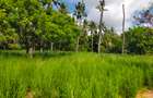 Land in Kilifi County - 20