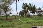 20 ac Land in Kikambala - 6