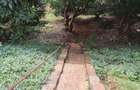 4 Bed House with En Suite at Waiyaki Way - 9