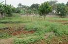Residential Land at Runda - 5
