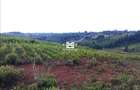 8.4 ac Land at Sirimon Road - 4