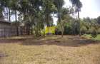 Land in Limuru Town - 2