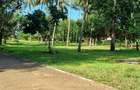 3.7 ac Land at Serena - 10