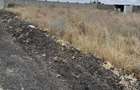 Land at Sabaki - 3