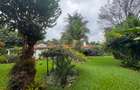 4 Bed House with Garden in Muthaiga - 6