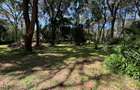 1 ac Land in Karen - 3