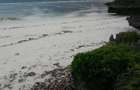 Land in Kwale County - 2