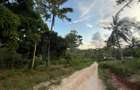 0.75 ac Land at Ls139 - 5