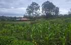 1 ac Land at Gicharani - 8
